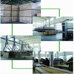 Changzhou Dehang Wood Co.,Ltd