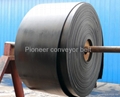 Ep Conveyor Belts 630 (EP100-EP630) 3