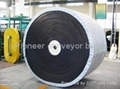 Endless Conveyor Belt 5