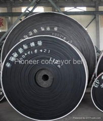 Heat Resistant Conveyor Belt