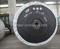 Heat Resistant Conveyor Belt 4