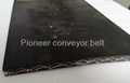 Fire Resistant Conveyor Belt12 2