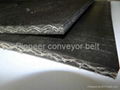 Chevron Conveyor Belt 2