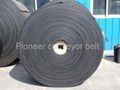 Heat Resistant Conveyor Belt 1