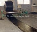 Cotton Conveyor Belt 3