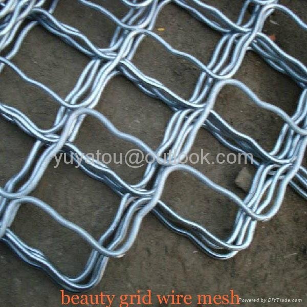 stainless steel beauty grid wire mesh(manufacturer)