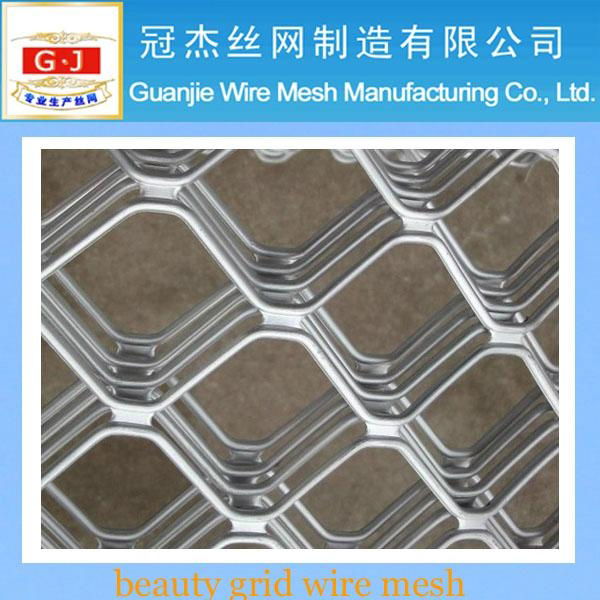 stainless steel beauty grid wire mesh(manufacturer) 4