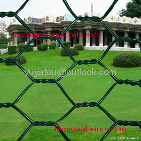 1/2 hexagonal animal wire netting