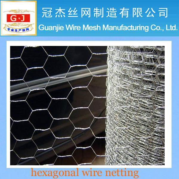 1/2 hexagonal animal wire netting 4