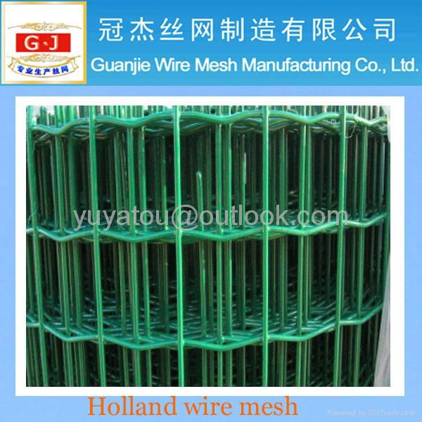 holland wire mesh(manufacturer) 4