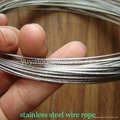 304stainless steel wire rope GUANJIE 2