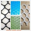 PE,PP plastic plain mesh(manufacturer) 2