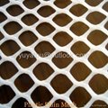 PE,PP plastic plain mesh(manufacturer) 3