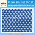 PE,PP plastic plain mesh(manufacturer) 4