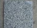 G603 grey granite 