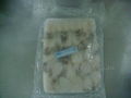 Frozen baby cuttlefish