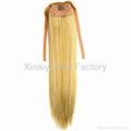 100% Human Hair Ponytail 5