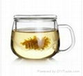 glass tea pot 4