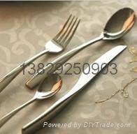 Cutlery staniless steel