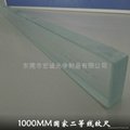 Highly Accuracy 0-1000mm Standard Glass Scale 1