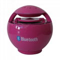 Bluetooth speaker