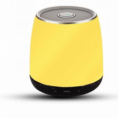 bluetooth speaker