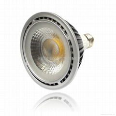 LED Par38 Light