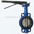 Phenolic backed seat wafer butterfly valve with hand lever 