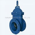 EN12266-1 Resilient seated flanged NRS