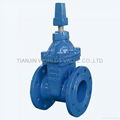EN12266-1 Resilient seated flanged NRS gate valve with wrench nut  2