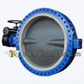  DN 1200 JIS standard vulcanizated seat flanged butterfly valve with PFA disc 2