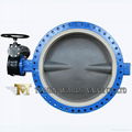  DN 1200 JIS standard vulcanizated seat flanged butterfly valve with PFA disc 3