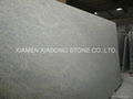 Granite:Kashmir White 2