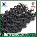 virgin brazilian deep wave hair 1