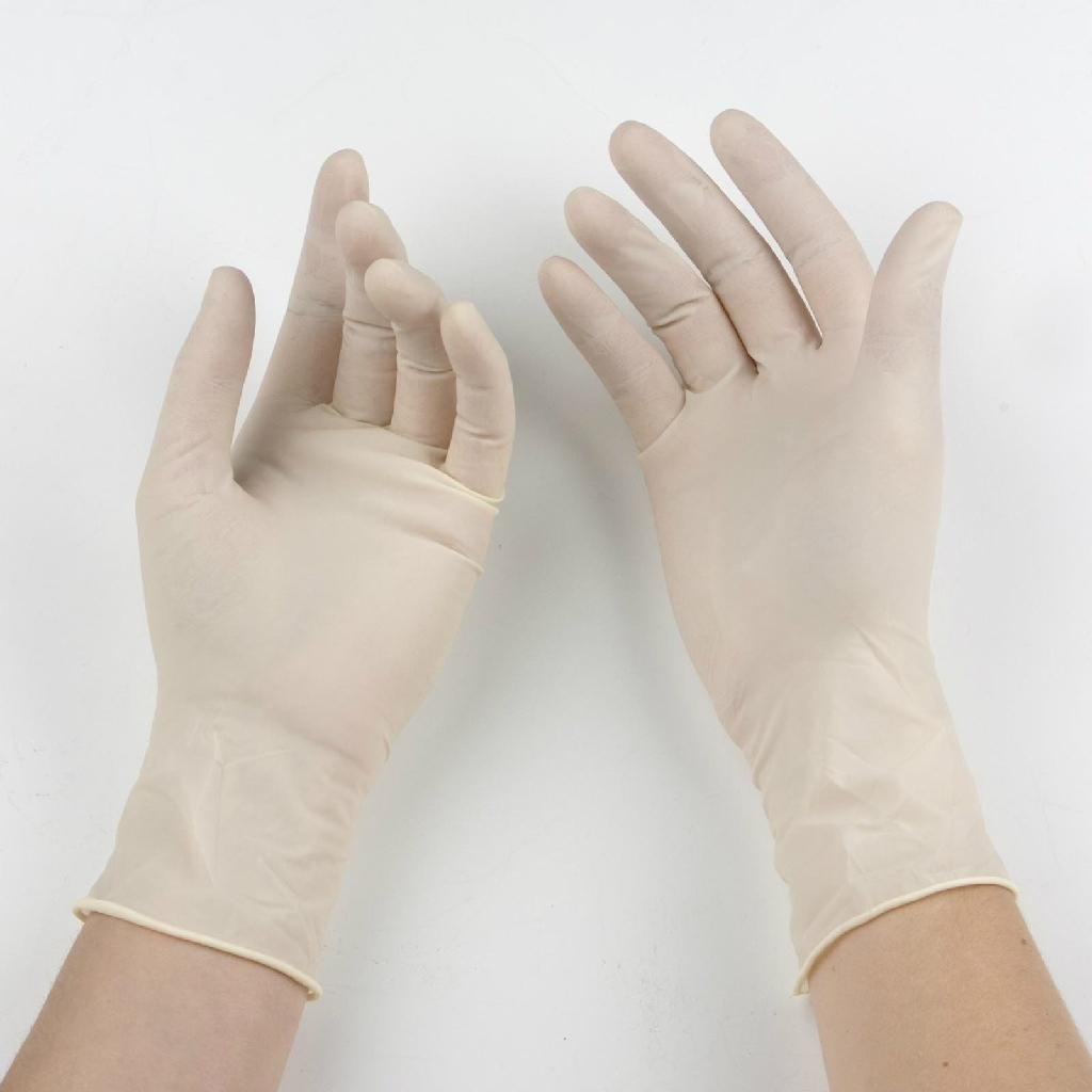 Disposable Latex gloves 2