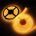 CE/RoHS Mark IP65 Silicon Tube Waterproof Flexible LED Strip Lights 2
