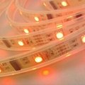 CE/RoHS Mark IP65 Silicon Tube Waterproof Flexible LED Strip Lights 4
