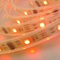 CE/RoHS Mark IP65 Silicon Tube Waterproof Flexible LED Strip Lighting