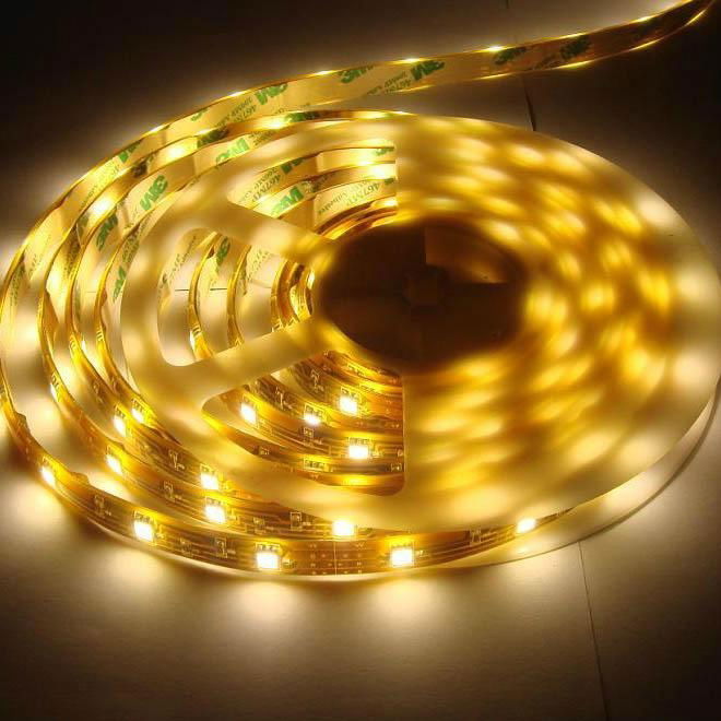 Shenzhen DALights DC24V&DC12V Waterproof SMD3014 Flexible LED Light  Strip 4