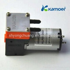 Small DC diaphragm pumps 