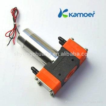 Kamoer two head micro diaphgram pumps with brushless motor 