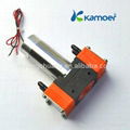 Kamoer two head micro diaphgram pumps