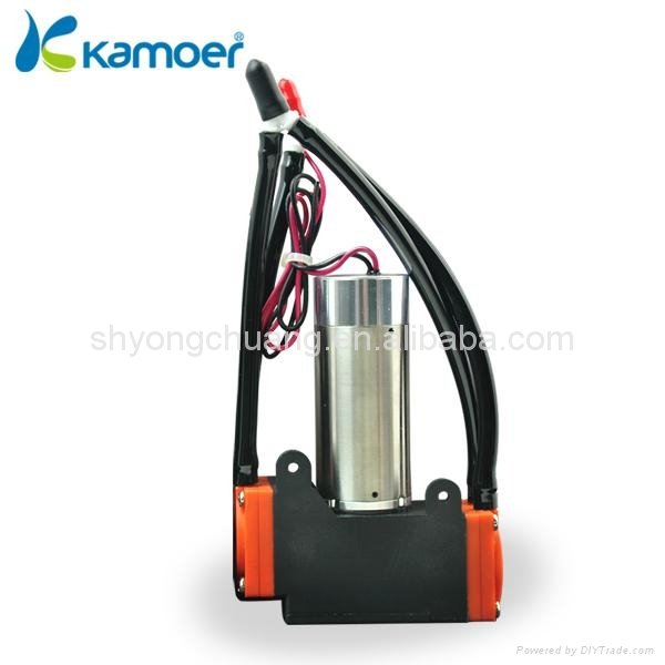 Vaccum pump with brushless motor