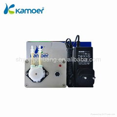 Adjustable speed peristaltic pump