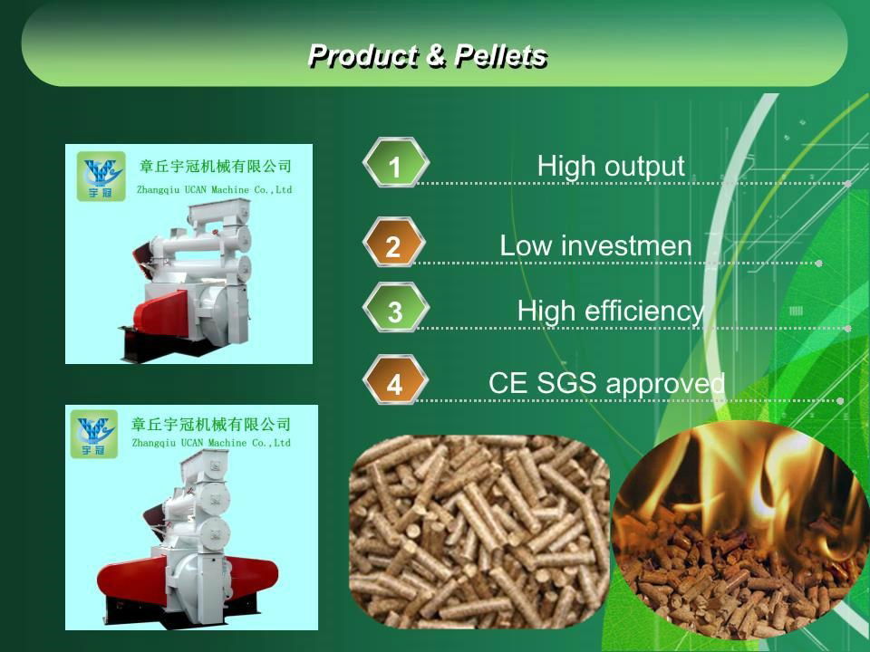 2013 China Fair Cow Feed Pellet Press 3