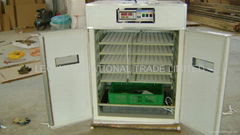 automatic egg incubator-880 chicken eggs