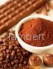 alkalized cocoa powder  4