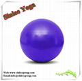 Yoga Ball 1