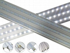 LED lighting box backlight