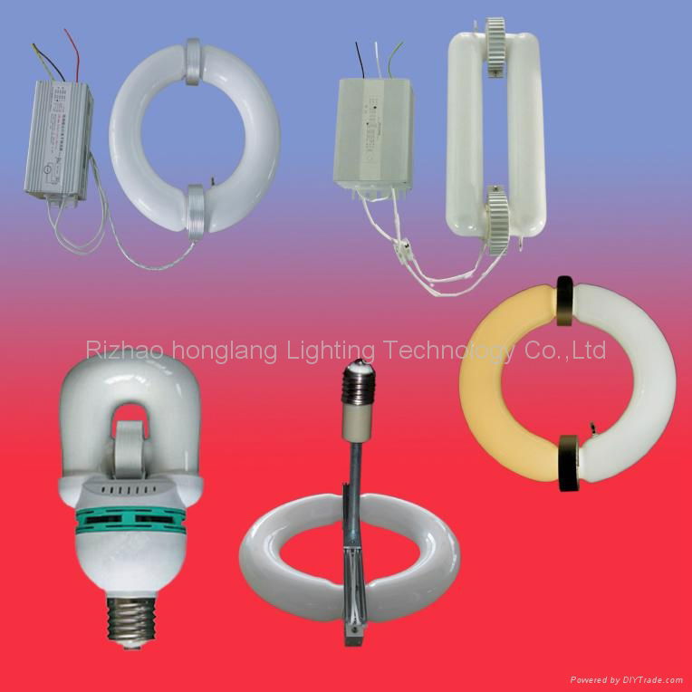 40w-300w magnetic induction lamp 2